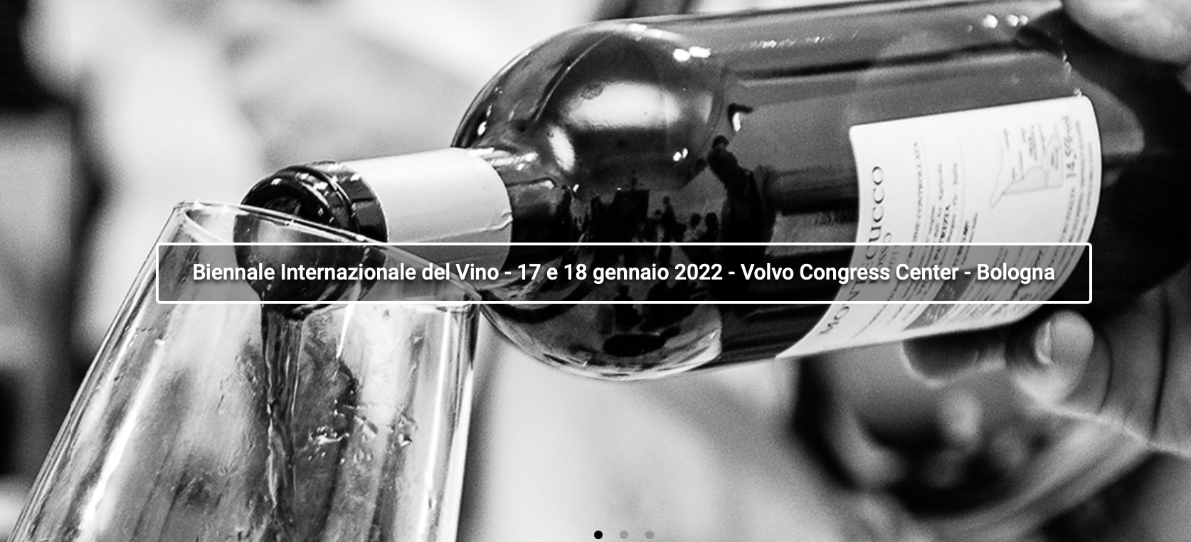 Biennale internazionale del vino